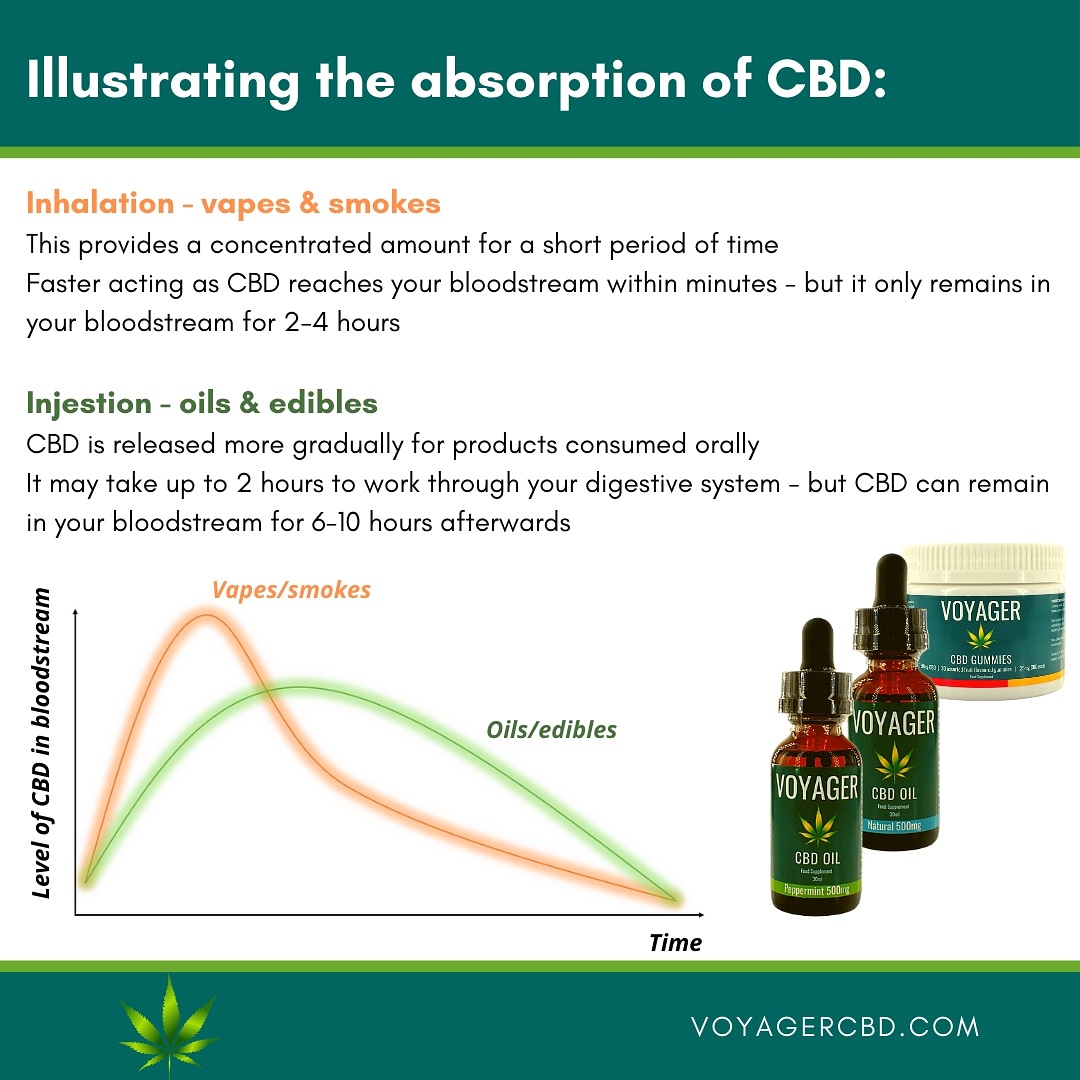 VoyagerLifeUK's tweet photo. What's the best way to take CBD? Vaping is good for fast absorption but, for a slower release and to keep the CBD working for you in your bloodstream for longer, take CBD orally.
#bestwaytotakecbd #bestcbd #bestcbdoil #cbdinfo #cbdinformation #howtotakecbd #cbdforlife #takingcbd https://t.co/8r3zlizsm5