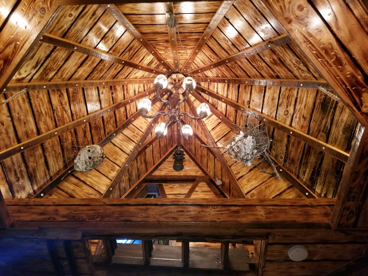 KimTunnicliffe1's tweet photo. Colin Wilcox of #SagamoreBeach spent years building this cool treehouse for his kids Winnie & Wyatt. It’s now been transformed into a #treeschool, b/c his wife is homeschooling the kids due to #COVID19. It’s got a loft, hidden doors, decks, a bridge, outdoor stage & even a cafe. https://t.co/zDl8JOuCZo