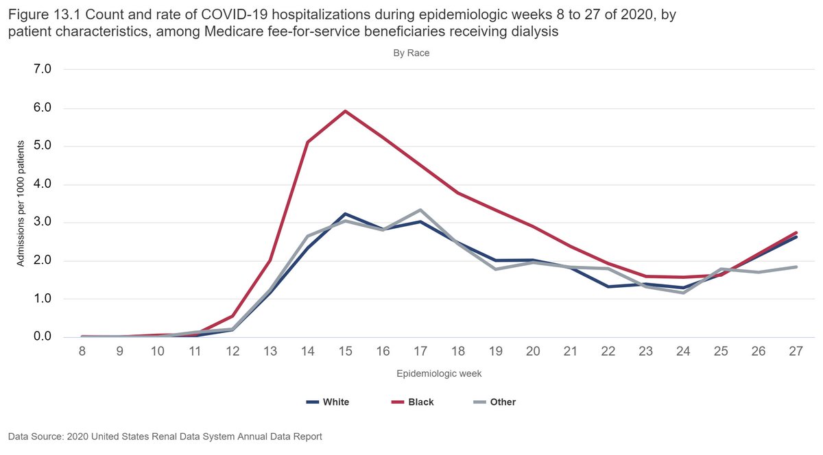 Blacks experienced a higher hospitalization rate initially, but by June, Whites and Blacks had similar rates.