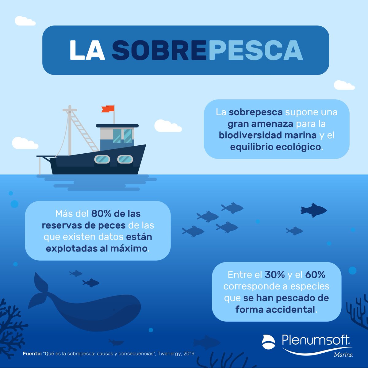 se-conoce-como-sobrepesca-al-exceso-de-pesca-de-peces-o-mariscos-por
