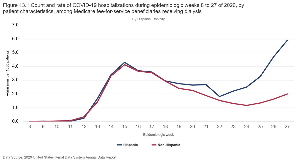 Meanwhile, a large disparity between Hispanic and non-Hispanic patients emerged during the late spring.