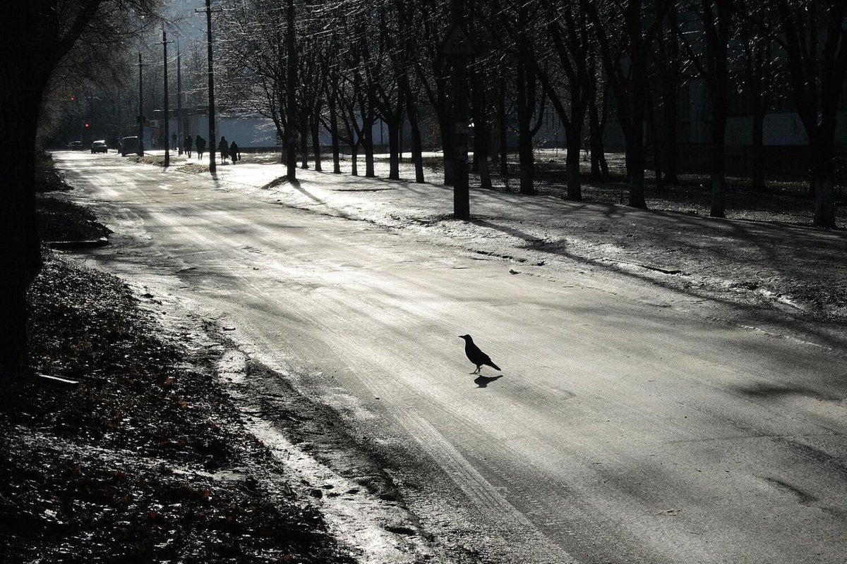 As our weather turns that bit more wintry, check out this article our MD Jonathan Acton wrote in this week's Westmeath Examiner with tips on staying safe this winter

westmeathexaminer.ie/2020/11/11/tip…