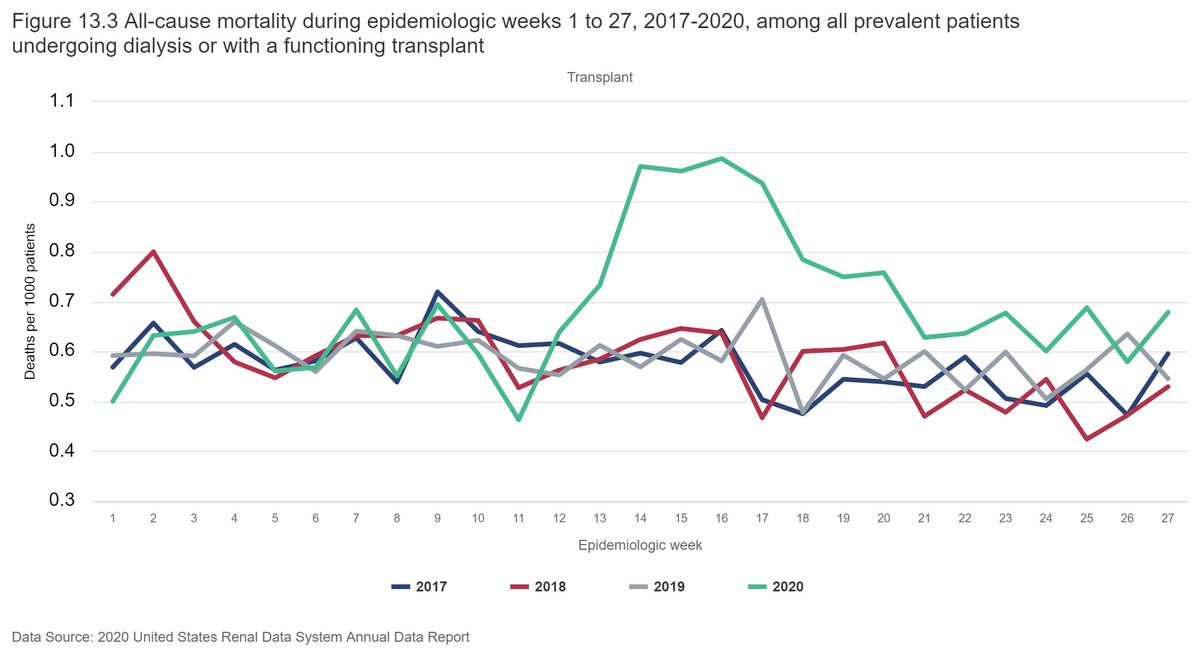 In patients with functioning transplants, the story was similar. Rates of death were lower, of course, than in patients on dialysis, but excess mortality was actually higher, at 61% during the first wave.