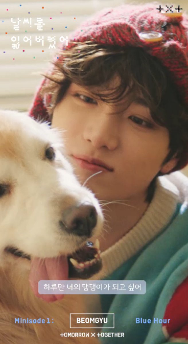 1303CBG's tweet photo. ⤷ cutie lil bear with a golden retriever
⤷#txt_beomgyu
⤷#tomorrow_x_together
⤷@TXT_members @TXT_bighit https://t.co/H232c1lJOI