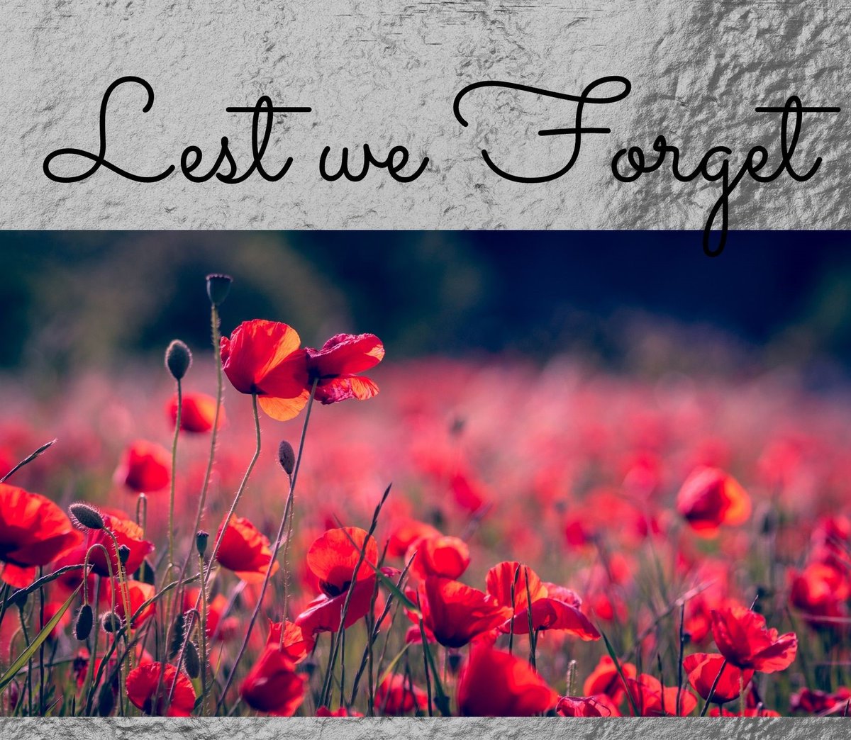 CAMDR_Canada's tweet photo. CAMDR would like to take a moment on this Remembrance Day to recognize those who have served and continue to serve our country.
Our thanks to those currently enlisted, veterans and their families for the multitude of sacrifices that are made so we may live freely   
Thank you! https://t.co/8XuY1JeNMz