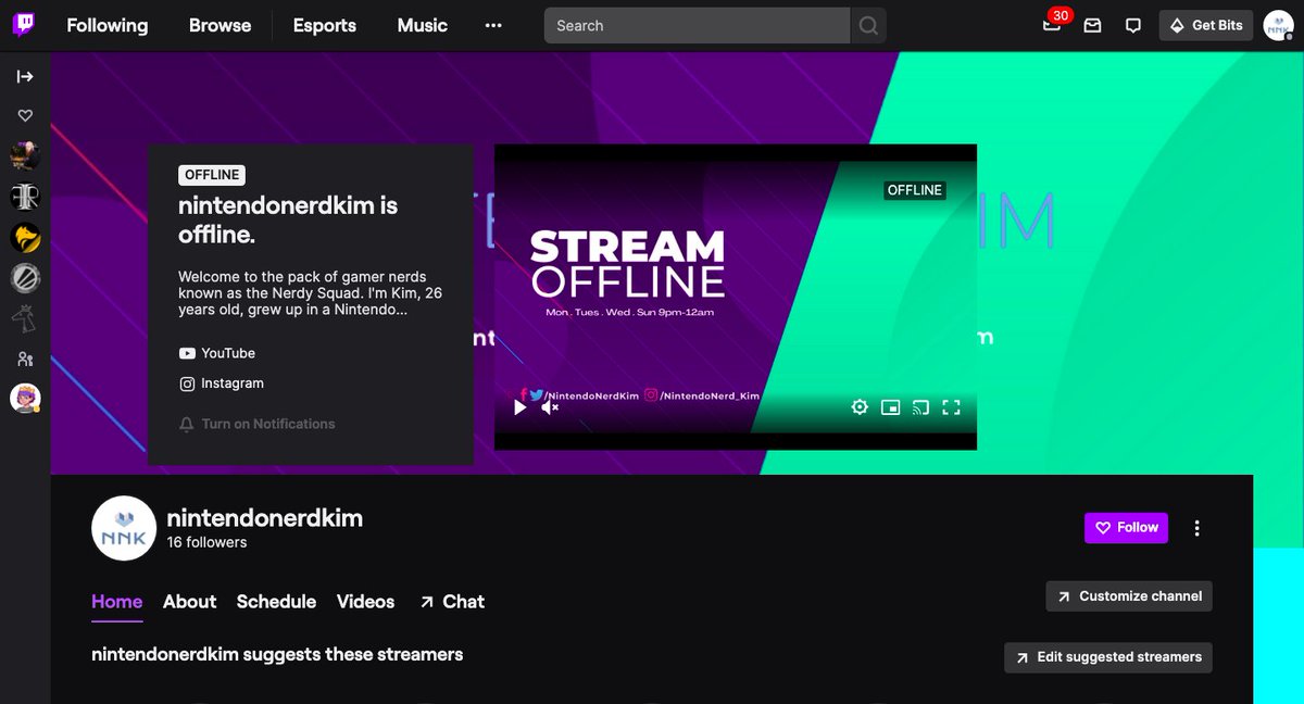 NintendoNerdKim's tweet photo. Spent some time completing the brand of my channel and it looks to be in a good place. #HardWorkAndDedication #InQuarantine #Twitch https://t.co/OBhE0jPrY3