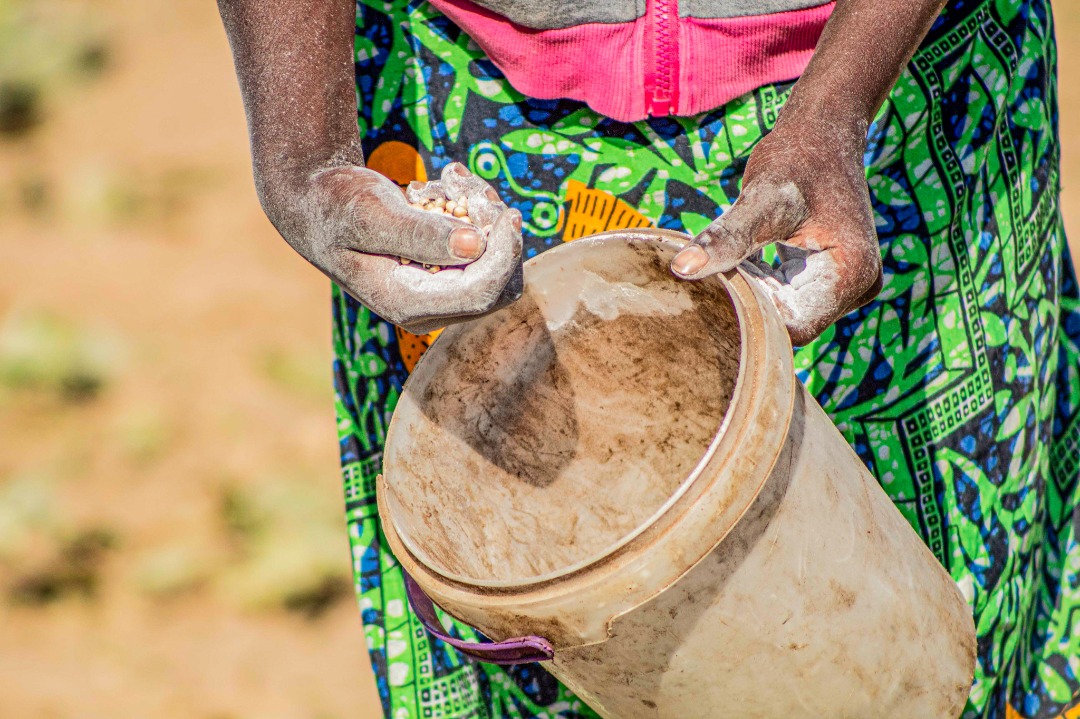 Targeted farmers in #Pemba and #Gwembe districts will also benefit from improved inputs, training, insurance, financial services and markets