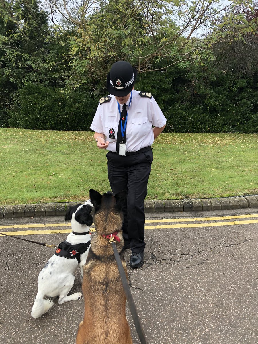 Chappers2013's tweet photo. Today @PBaloo and I said farewell to a colleague who has been fantastic to work with these last seven years, bumped into #RPDRiley @SuptMDavies and of course @DCCPippaMills Great day π https://t.co/61EdtrooYS