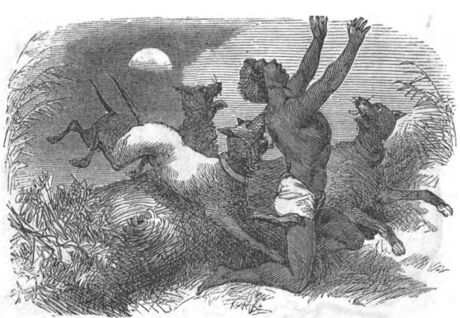 #45: Hush PuppiesWhat you know as “Hush Puppies” came from The Whistling Walk. Slaves would deep fry bits of cornbread and tuck them into their pockets. When the hunting dogs came during the whistling, they’d feed them the cornbread to silence/calm them.