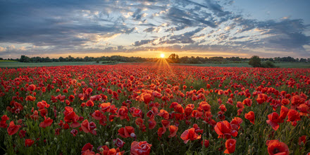 PrassackAdvsrs's tweet image. Today, we honour the women and men who have served - and who continue to serve - our country with bravery and courage #ThankyouforyourService 

#VeteransDay