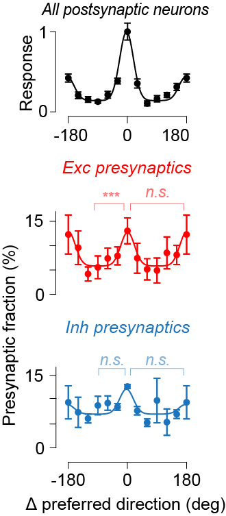 (5/n) The tuning of the excitatory presynaptic ensemble matched the selectivity of the postsynaptic neuron for orientation but not for direction. The inhibitory presynaptic ensemble was not tuned for direction either.