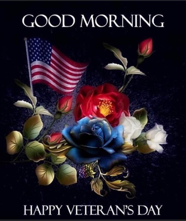 💋KIKI💋 (@kikicatsss) on Twitter photo 