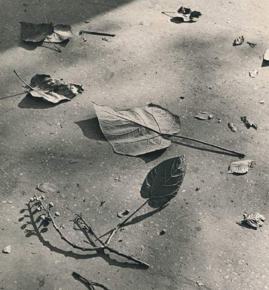 16) Ilse Bing, the queen of Leica (1889-1998).