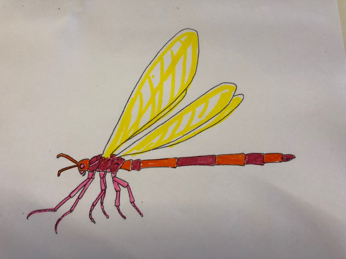 EntsocAmerica's tweet photo. Add some fun to your #EntSoc20 schedule with some insect coloring. Download blank coloring pages at https://t.co/BVuPvxPehY and share yours with the hashtag #EntoColor. https://t.co/wclZmkw2HL