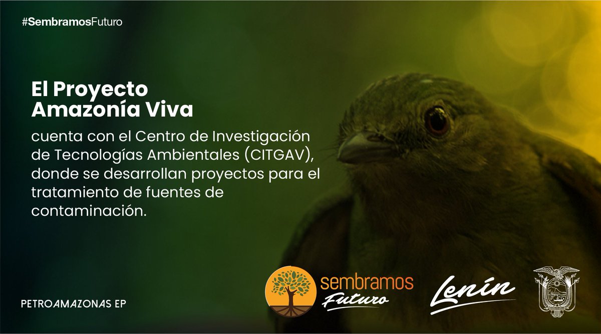 EERSSAoficial tweet media