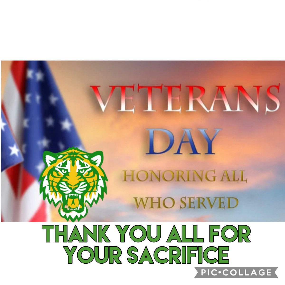 BCHSTigersFB's tweet photo. On this day we Salute our Veterans. Thank you for your commitment and sacrifices, because we are forever grateful. #BTheAlpha https://t.co/cNMhEOIds0