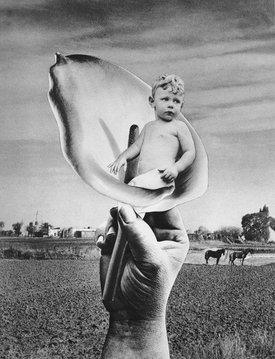 18) Grete Stern (1904-1999).