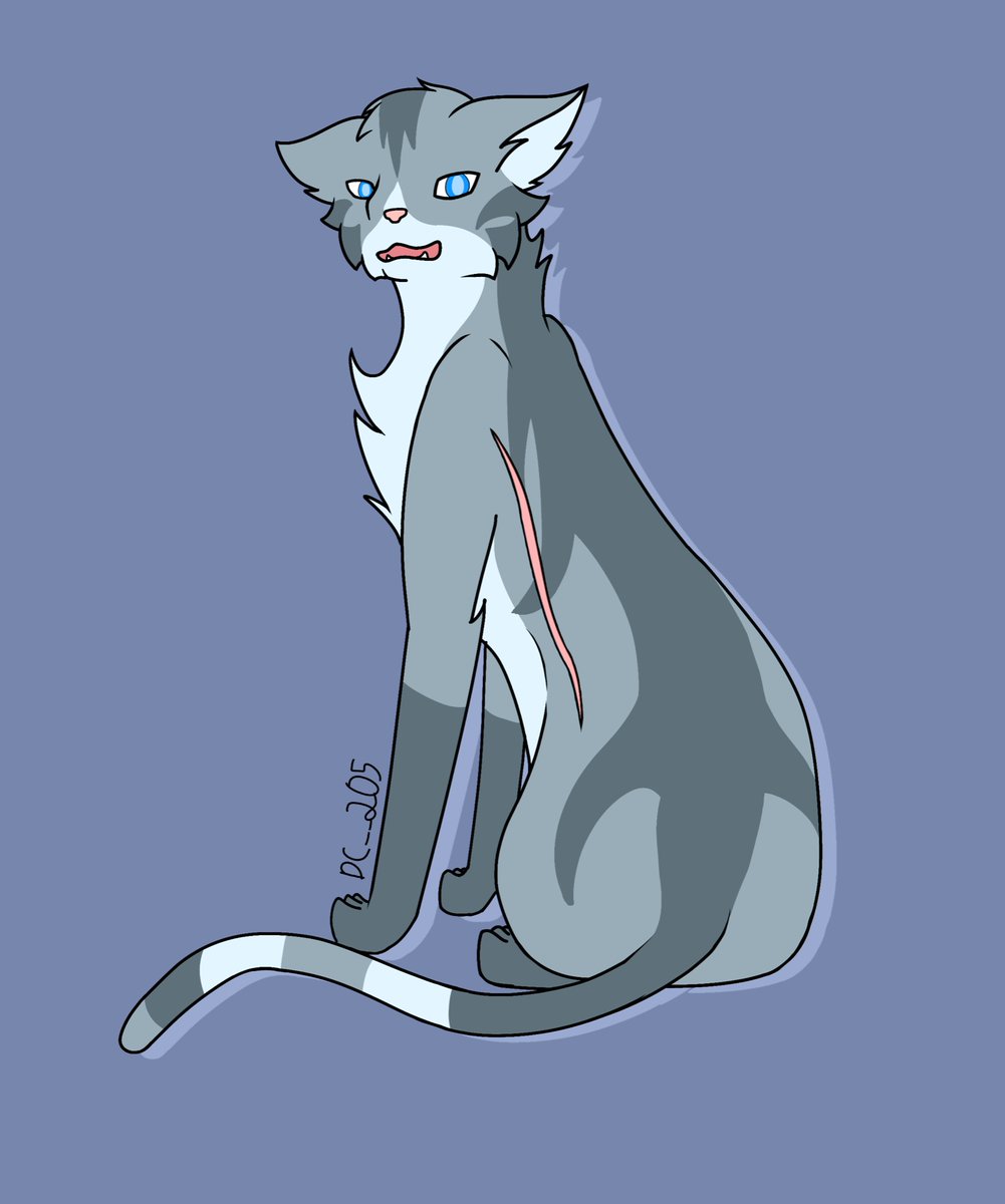 wormsdraws_'s tweet photo. A Jayfeather for #wcotw
I think he’s neat
@theclandom https://t.co/T2iRMWHeah