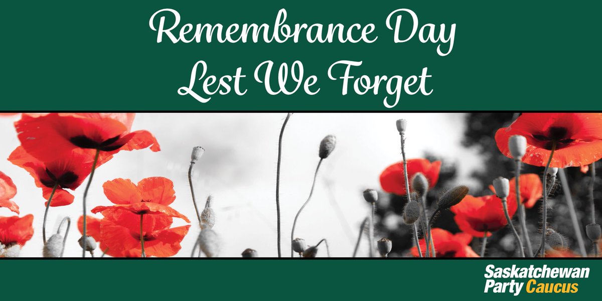 I”m, like so many others,  missing showing my gratitude at one of the many ceremonies across the province.