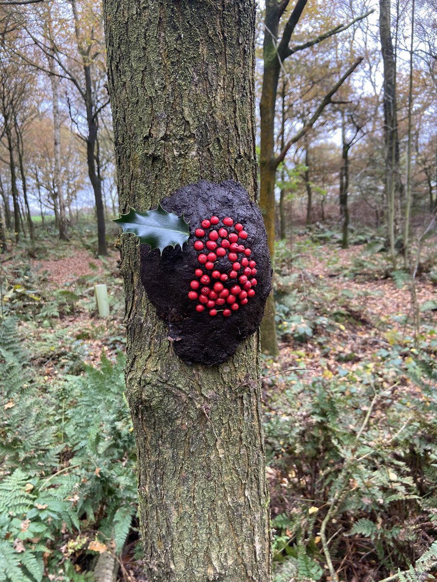 academy_axis's tweet photo. Pupils have been remembering all those who have died as a result of war and wearing their poppies which were made by the Year 8s during Art. https://t.co/Zhl6ngikO1