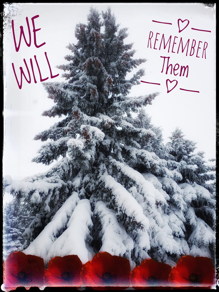 #LestWeForget 
Thank you for the priceless gift of freedom ~