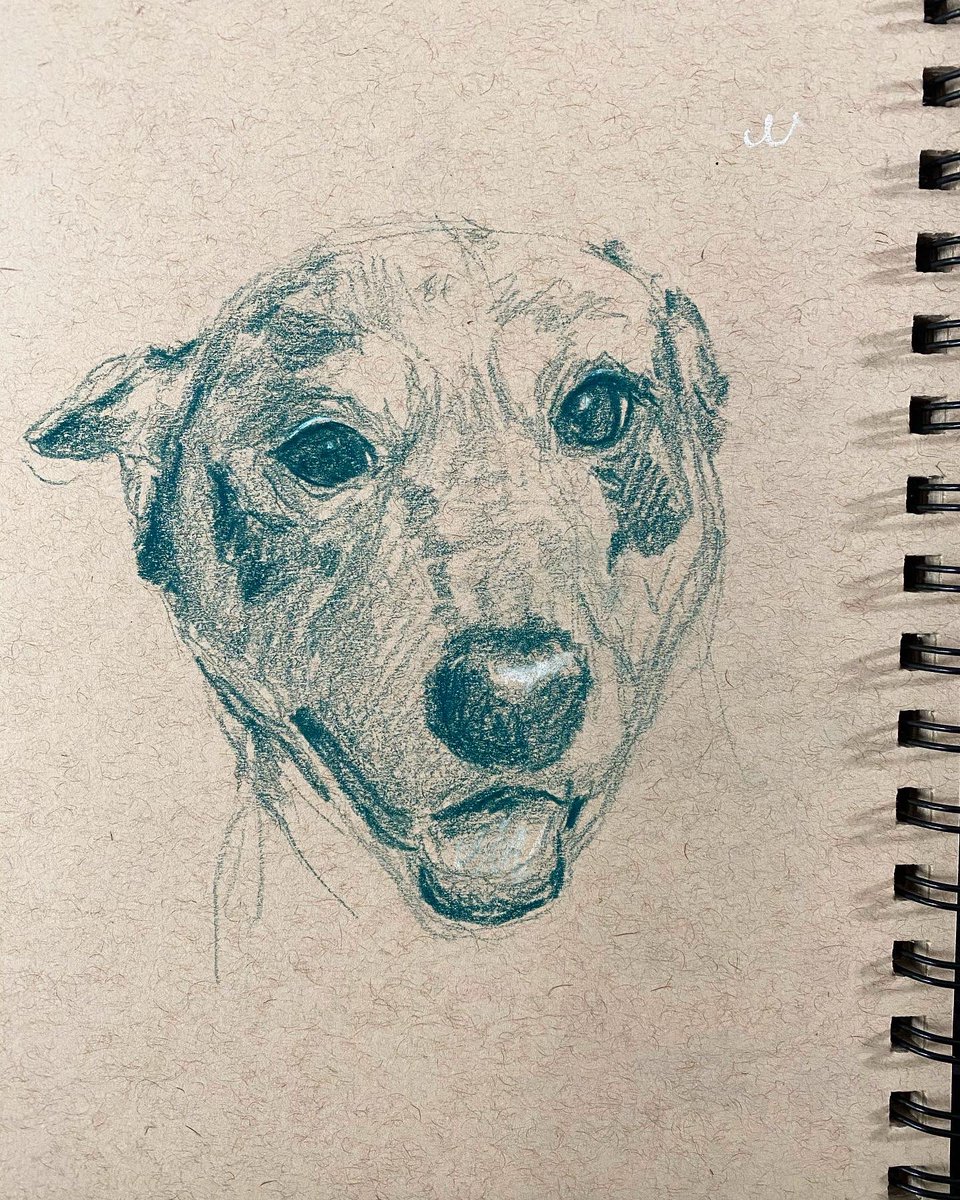 LimJourney's tweet photo. A look into my sketchbook, my Facebook friend’s pets, Bootsy Collins, and Buckethead ❤️ #bootartist #art #pencil #pencildrawing #prismacolor #prismacolorpencils #sketch #sketchdaily #artdaily #artistsoninstagram #petsofinstagram #drawing #buckethead #bootsycollins #parrot https://t.co/WVvZiLTXvL