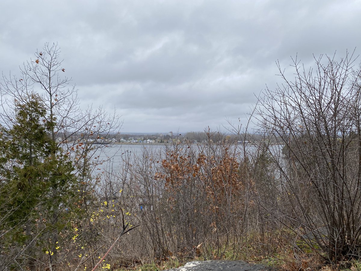 greystone75's tweet photo. Definitely x-country racing like weather for my walk today. Watched the Remembrance Day celebrations from Major Hill Park. #runningisagift #longtimerunner #runwhenyoucan #walkwhenyoucantrun #remembranceday2020 https://t.co/h8gQnIHgZH