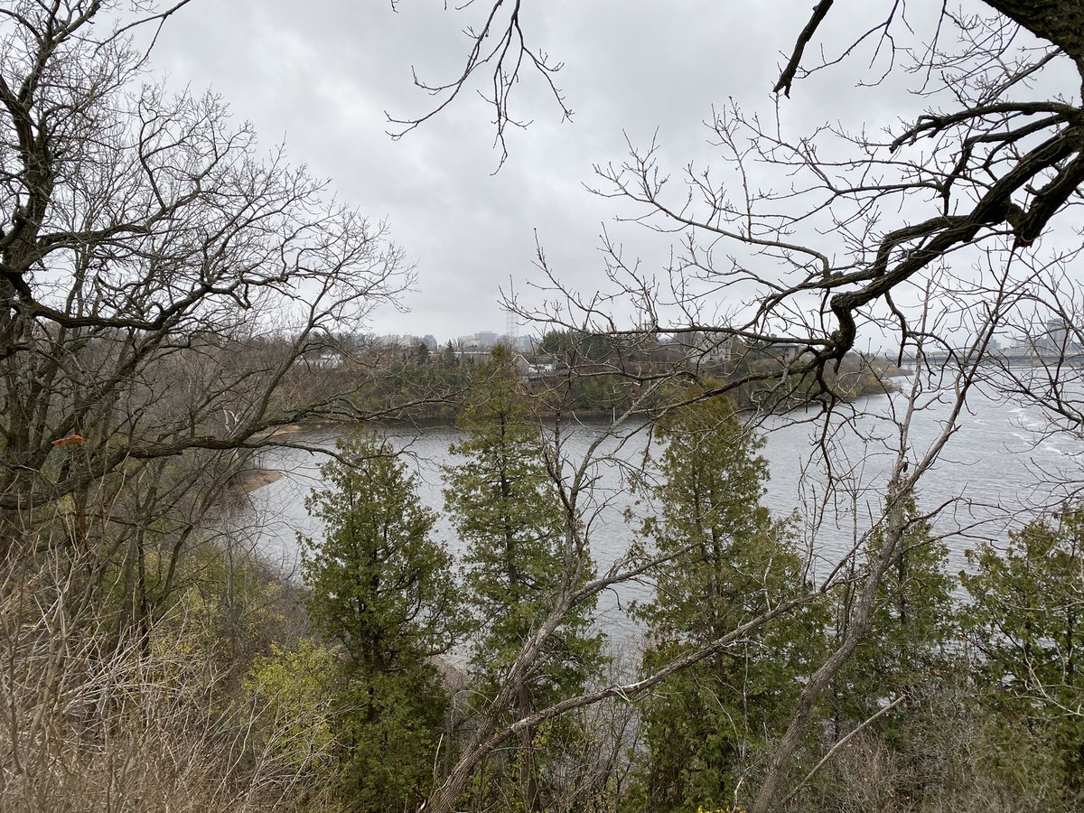 greystone75's tweet photo. Definitely x-country racing like weather for my walk today. Watched the Remembrance Day celebrations from Major Hill Park. #runningisagift #longtimerunner #runwhenyoucan #walkwhenyoucantrun #remembranceday2020 https://t.co/h8gQnIHgZH