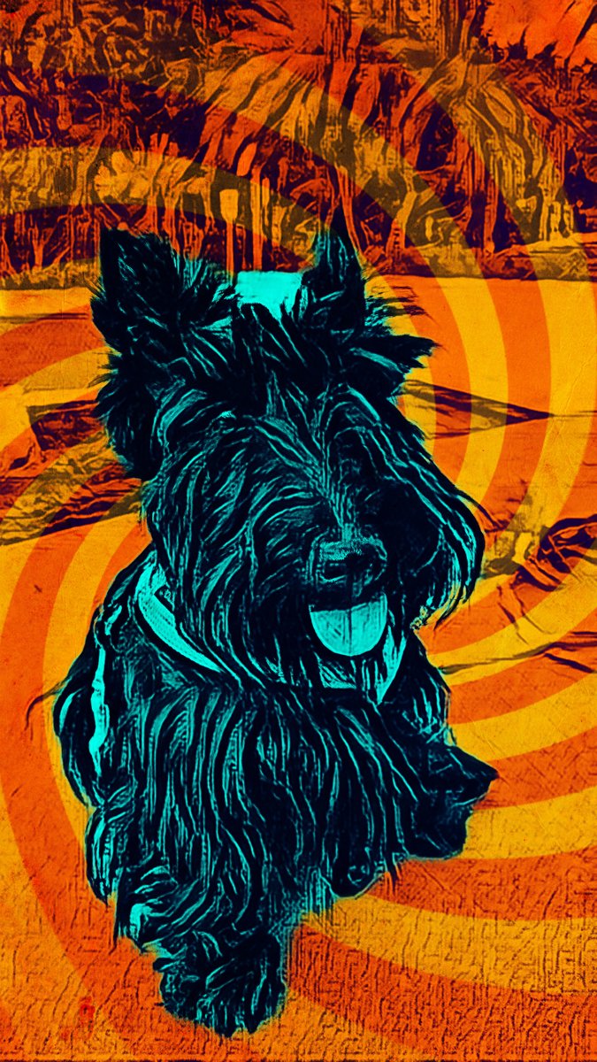 imagemaker89's tweet image. Hello there!

#imagemaker89 
#fortlauderdalephotographer 
#eventphotography   
#photographer 
#ftlphotographer
#localphotographer
#clay_h_wieland
#cwpinfraredimages
#claywielandphotography
#fortlauderdale