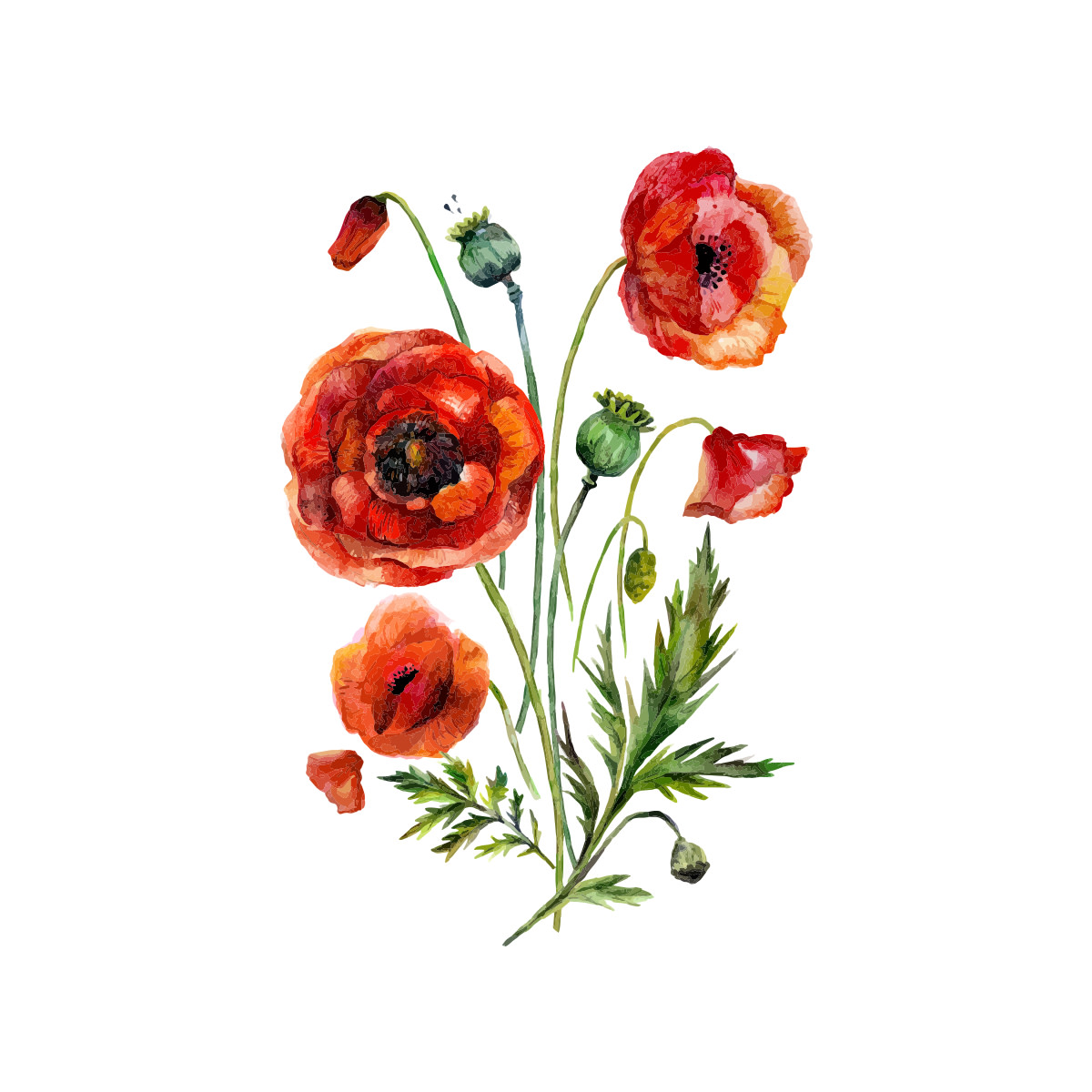 Today we reflect on the brave men and women that fought for our country and for those who continue to do so. Thank you for all your sacrifices.

#LestWeForget❤️  #WeRemember❤️
