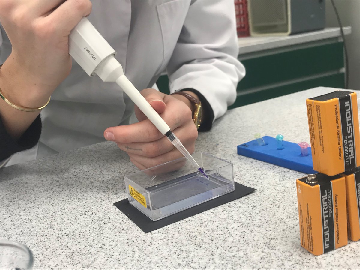 HeathfieldAscot's tweet photo. A Level Biology students are pouring agar gels for electrophoresis of DNA to produce genetic fingerprints #HFScience #Experiments #womeninSTEM https://t.co/e2rYjjhabo