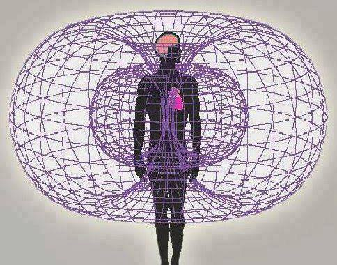 Julioqc's tweet photo. TOROIDE. “Un toroide es la forma que toma la corriente de energía en cualquier nivel de existencia. ”
Nassim Haramein. https://t.co/QmWvUjPYYv