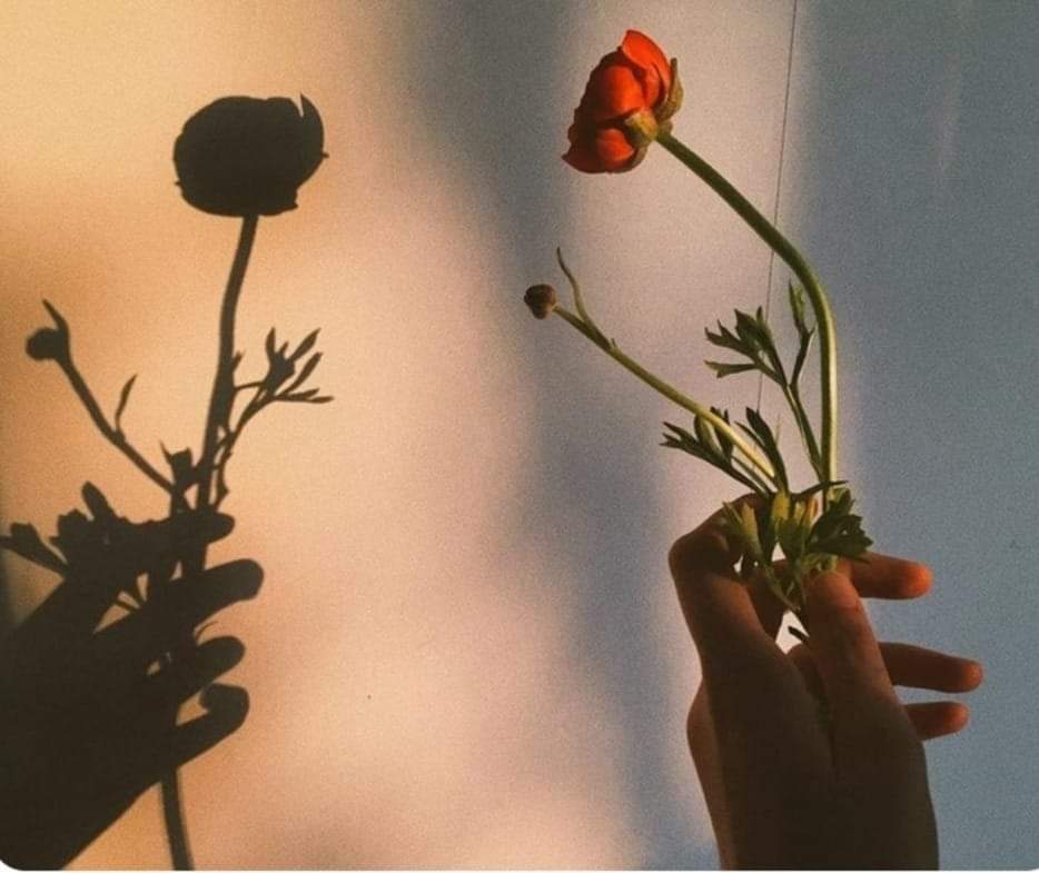 "Bütün duyarlı yanlarımın çürüdüğünü hissediyorum."

Kırk Oda / Murathan Mungan