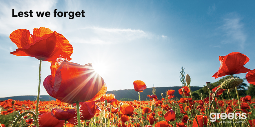 BCGreens's tweet photo. Today we honour those who fought for our country and for freedom. Lest we forget. This year, Remembrance Day ceremonies will be held virtually: https://t.co/89VP4pS3vv #RemembranceDay2020 #RemembranceDay https://t.co/Hmg4k4dntA