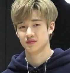 bang chan being a mood: a thread