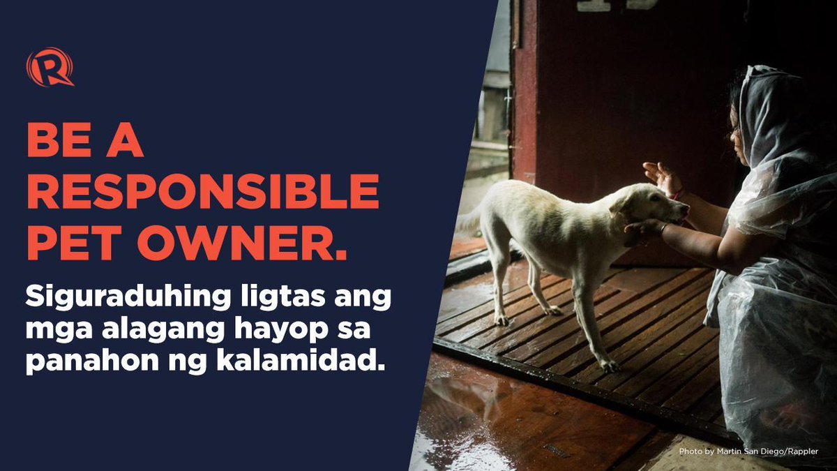 rapplerdotcom's tweet photo. No one should be left behind. 🐕🐈

Follow Rappler's #UlyssesPH updates: https://t.co/fVarJN8Wv1 https://t.co/NPvv47zi2i