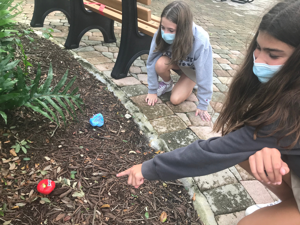 palmertrinity's tweet photo. Painted rocks placed along the #PalmerTrinity courtyard calls all who sees them to join effort of inspiring others to acts of kindness & gratitude. From the Art students to you, Happy Thanksgiving! (Please don't touch them or take them due to our COVID guidelines)
#PTSRocks https://t.co/o0HgKr0Xq0