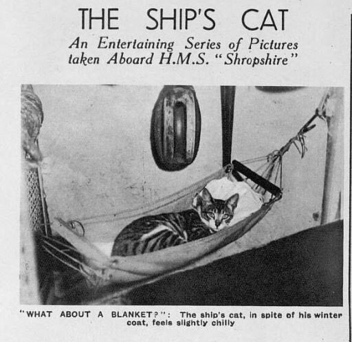 emo jeep🦌 tweet media