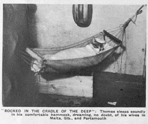 emo jeep🦌 tweet media