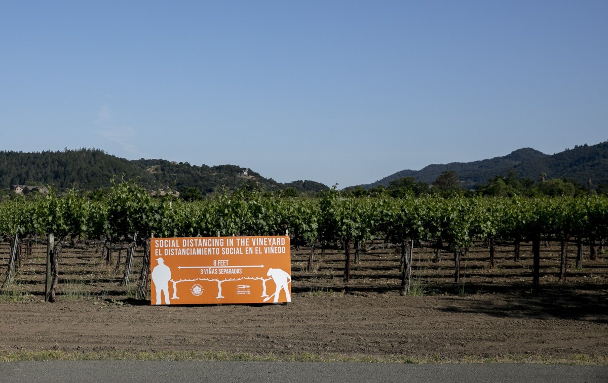 4/ “It’s scary. We just hear it from other people, we don’t hear it from our boss or supervisors."How counties report workplace  #COVID19 outbreaks varies widely across California because of the lack of a statewide mandate.  https://bit.ly/3gGokCi&nbsp;