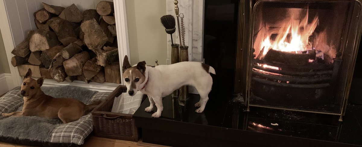 KavanaghClodagh's tweet photo. Fire dogs #longwinter #warmfires https://t.co/qO12XFcysx