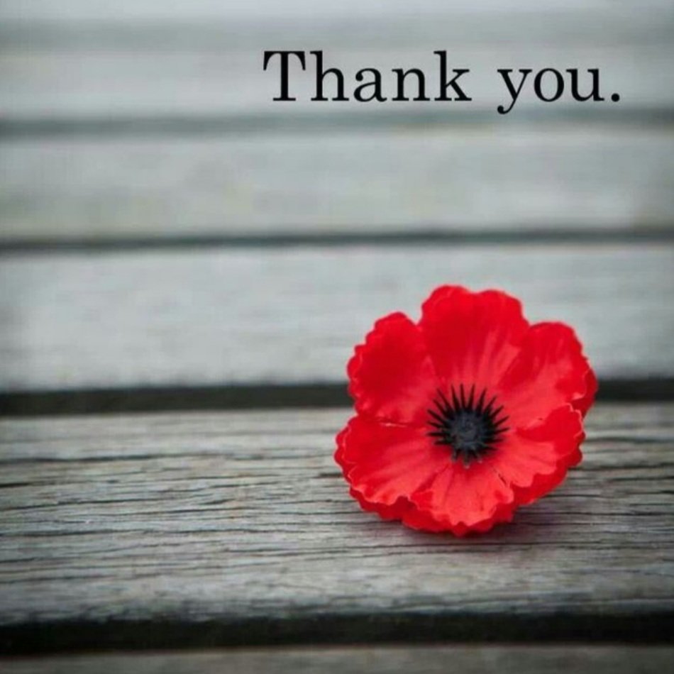 RohanLancers's tweet photo. To those who served, continue to serve, and to those who made the ultimate sacrifice- we thank you❤ #LestWeForget https://t.co/8dIiMqPC1I