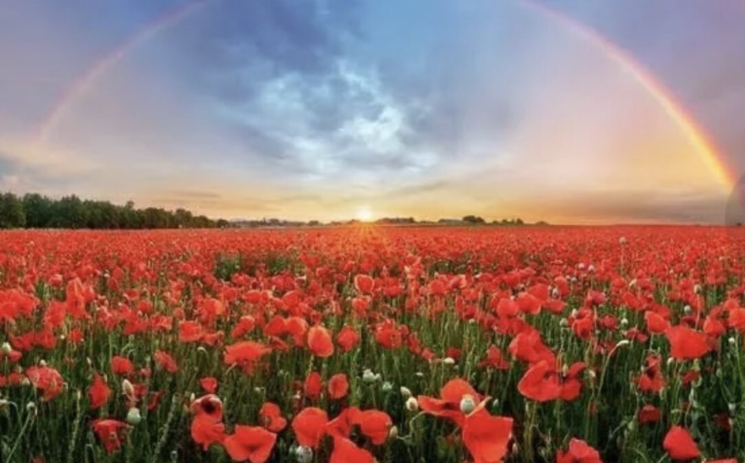 dixondragonspac's tweet photo. With gratitude we honour those whose courage &amp; sacrifice have made us the True North Strong &amp; Free, and those who serve today so that we can all have a tomorrow. https://t.co/0tSiiJu80z