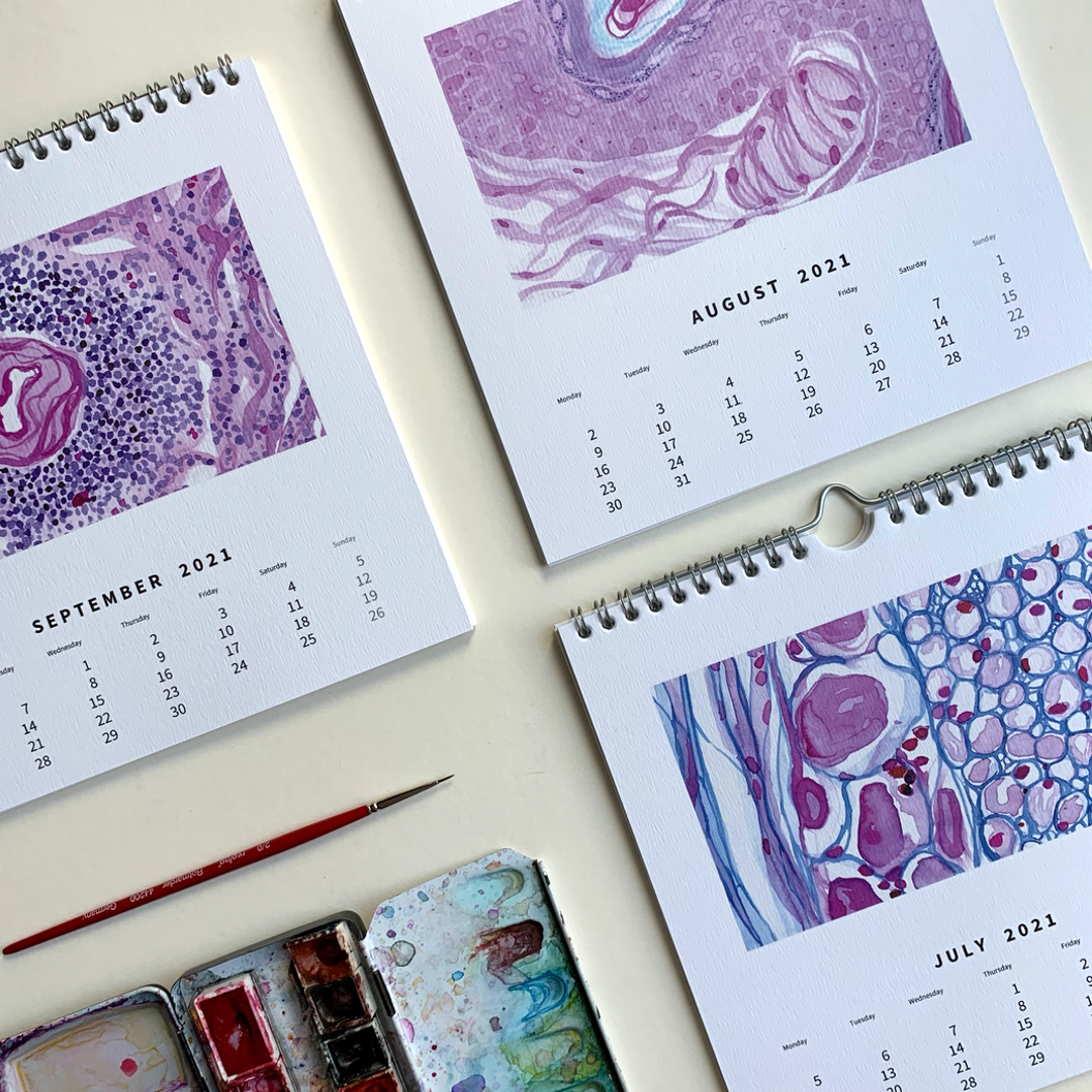 lamellipodium's tweet photo. I turned my year's work into a Wall-Calendar for 2021 – and thought International Pathology Day is just the right day to make it available! #pathtwitter #pathart https://t.co/HuLZ7yy8KX