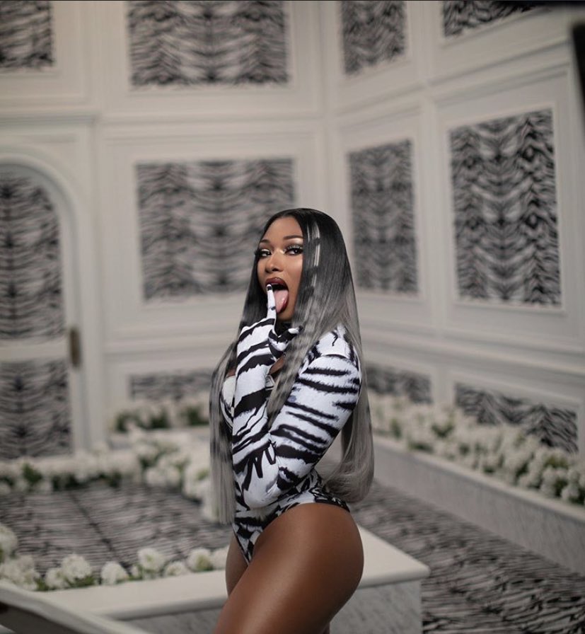 Beyoncé and Megan thee stallion as each other:     A Fun/Positive Thread 