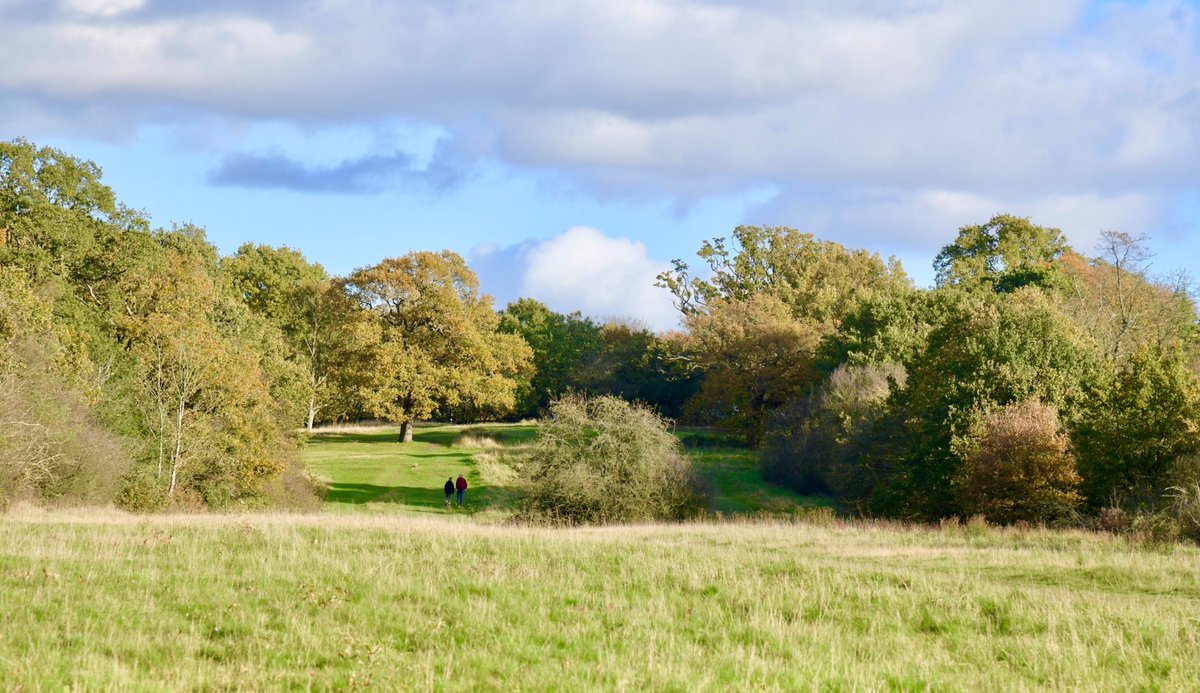 Has #EppingForest helped to get you through the lockdown this year? If so, could you take a moment of your time to give something back to this ancient woodland &amp; vote for us in the Green Flag Award People's Choice Award? Please vote &amp; share! Thank you!🙏 
greenflagaward.org/park-summary/?…