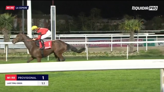rebelsart's tweet photo. Bravo Genmoss AA winner of the Grand National Des Anglo-Arabes à #Toulouse! 🏇🥇🇫🇷
15 starts, 15 wins‼️🏆
Jockey Alexandre Gavilan
Entraineur Didier Guillemin
#Arabian #HorseRacing #France #Genmoss https://t.co/gcIlcKlvWx