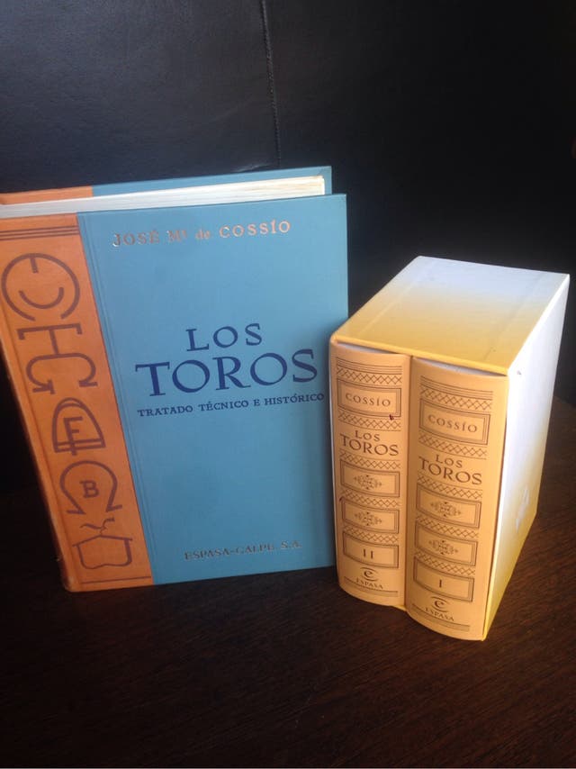 7 TOROS 7 tweet media