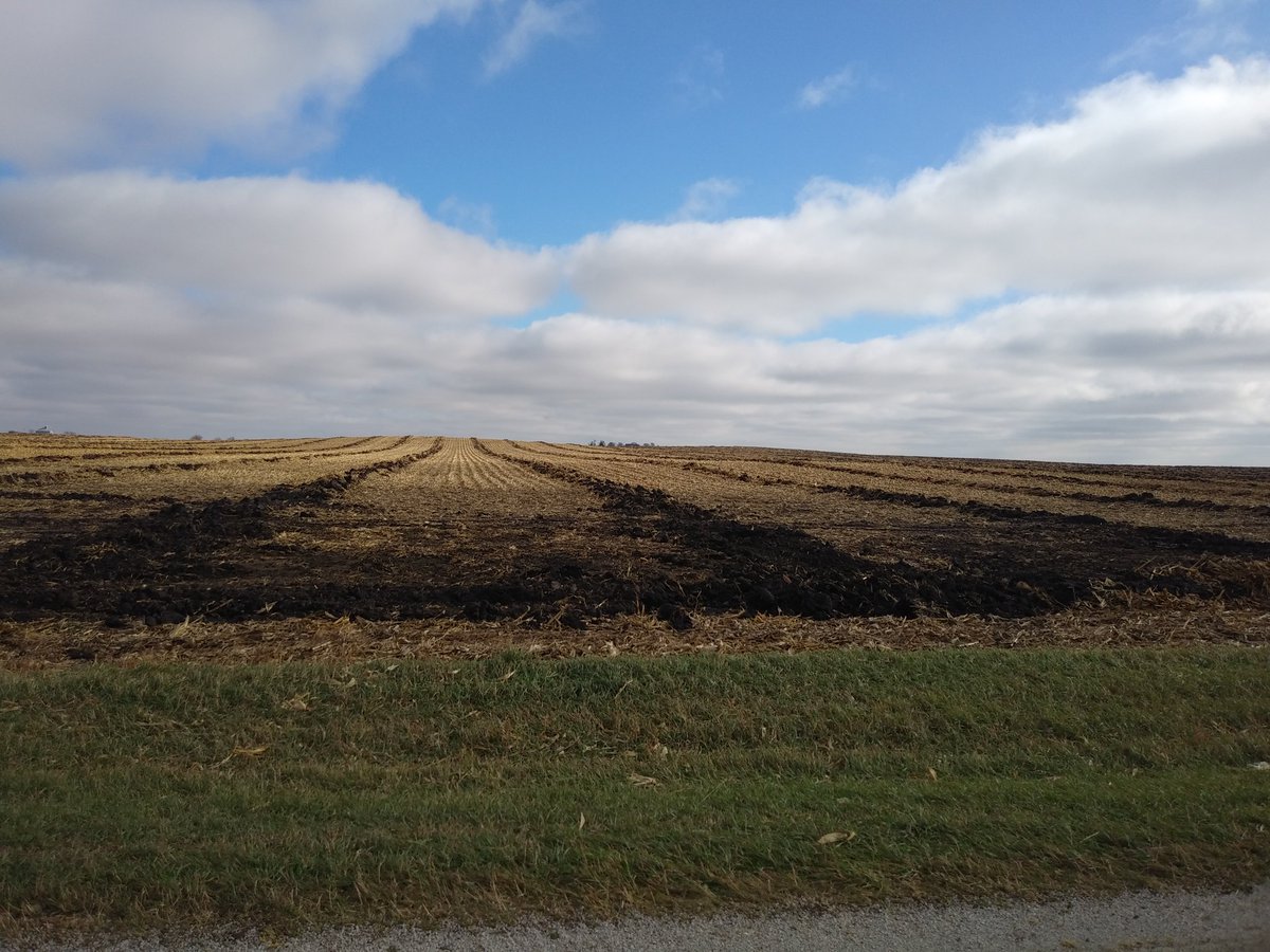 BlueHavanaDave's tweet photo. #TileItUp https://t.co/vNX1VEuEX2