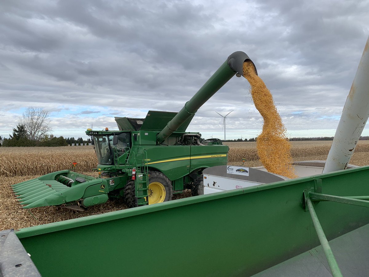 HargreavesRyan1's tweet photo. A very busy day yesterday with @ChrisRoy00 @Oli1849 @nick_toll harvesting #Answerplots near Blenhiem ON, #GrowCROPLAN @WinFieldCanada exceptional yield considering the challenges of 2020 #harvest20 #Ontag https://t.co/Z4ZtWgCkKe